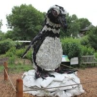 Penguin Sculpture