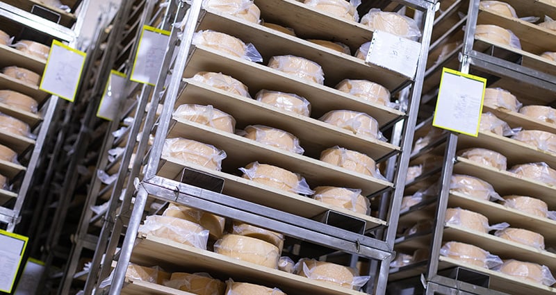 cheese manufacturing shelf