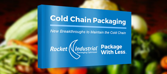 Cold Chain Packaging Preview