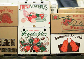 Custom Produce Packaging Boxes
